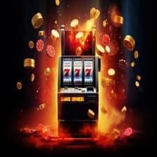 dddbet